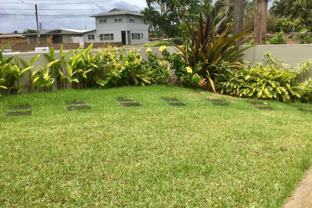 4192 Kilauea Ave Apt B #Apt B - Photo 1 of 1