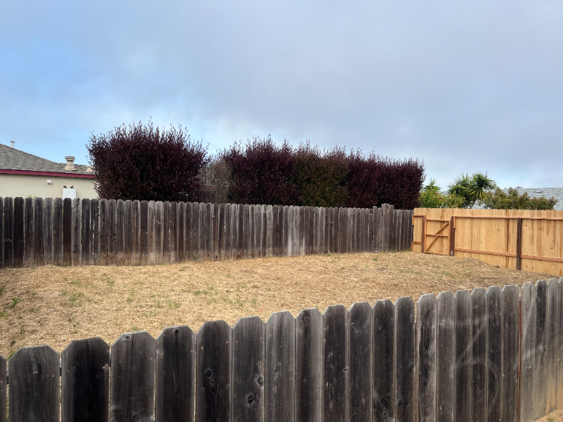509 Robert Ct #A - Photo 7 of 15
