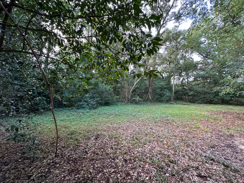 4161 Rebecca Rd - Photo 2 of 17