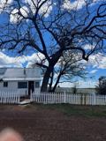 236 W Acer Ln #RANCH - Photo 1 of 1