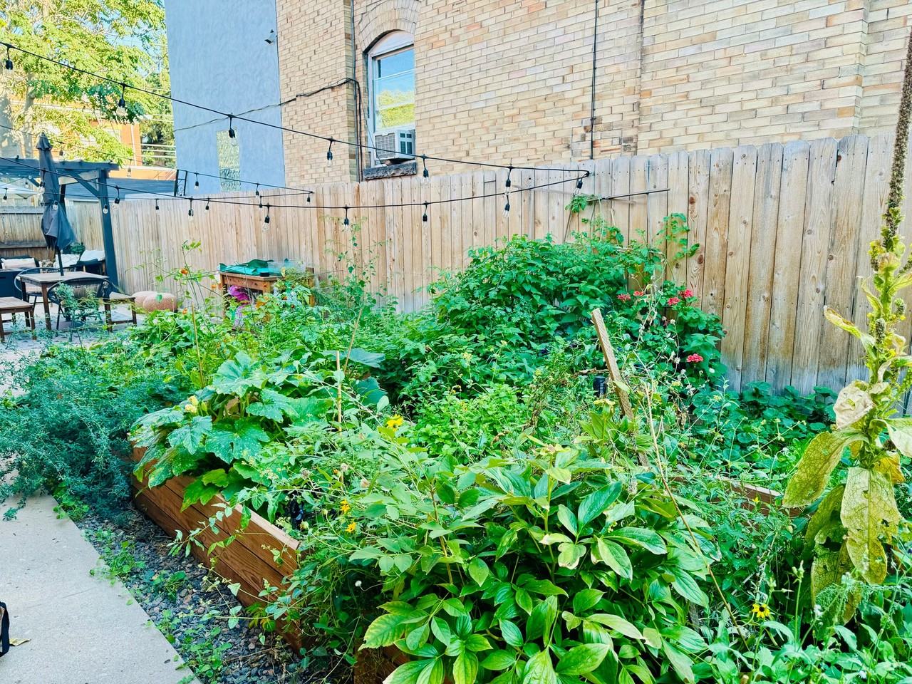 1568 Vine St #3 - Photo 3 of 13