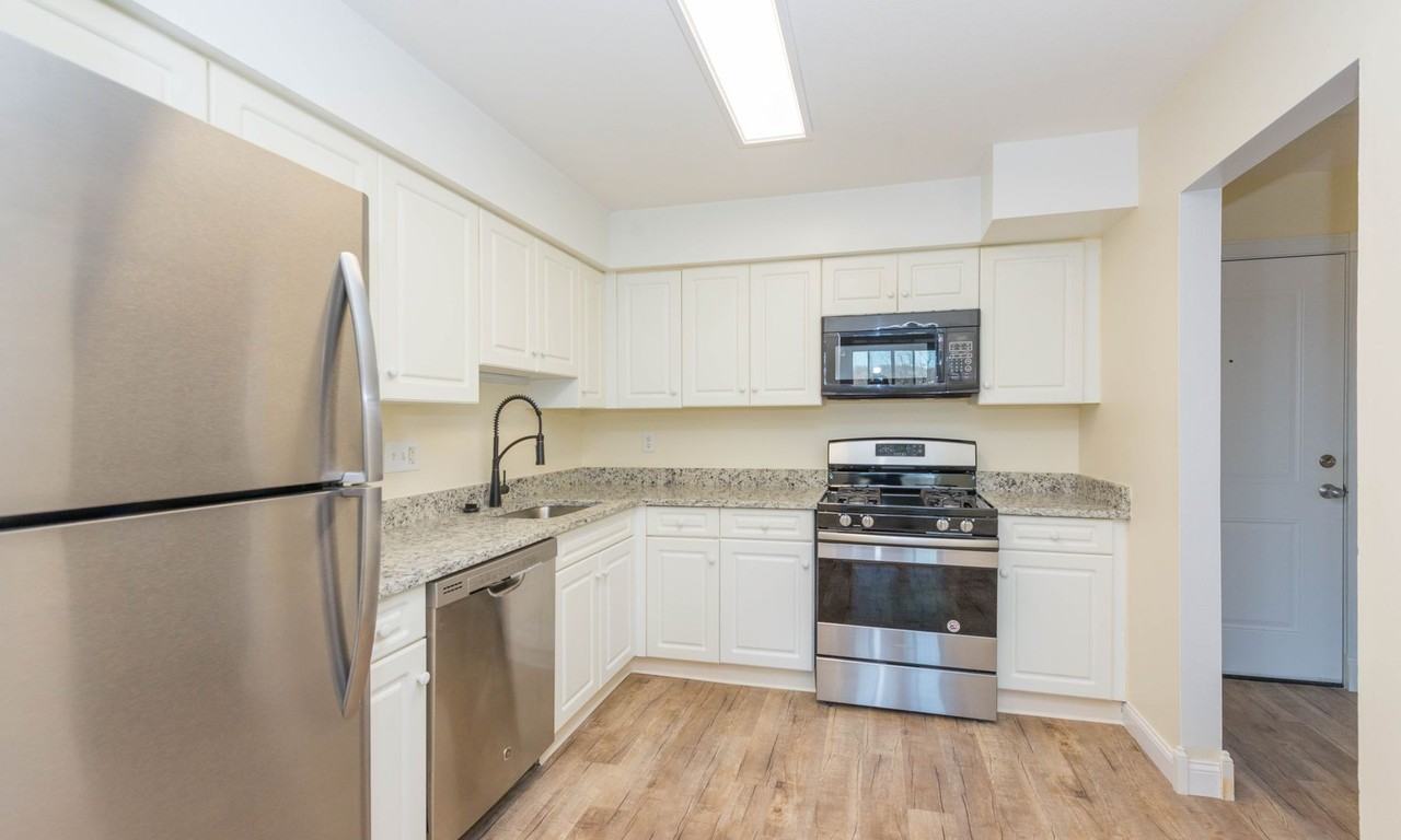 Chestnut Hill North Apartments - Photo 4 of 23