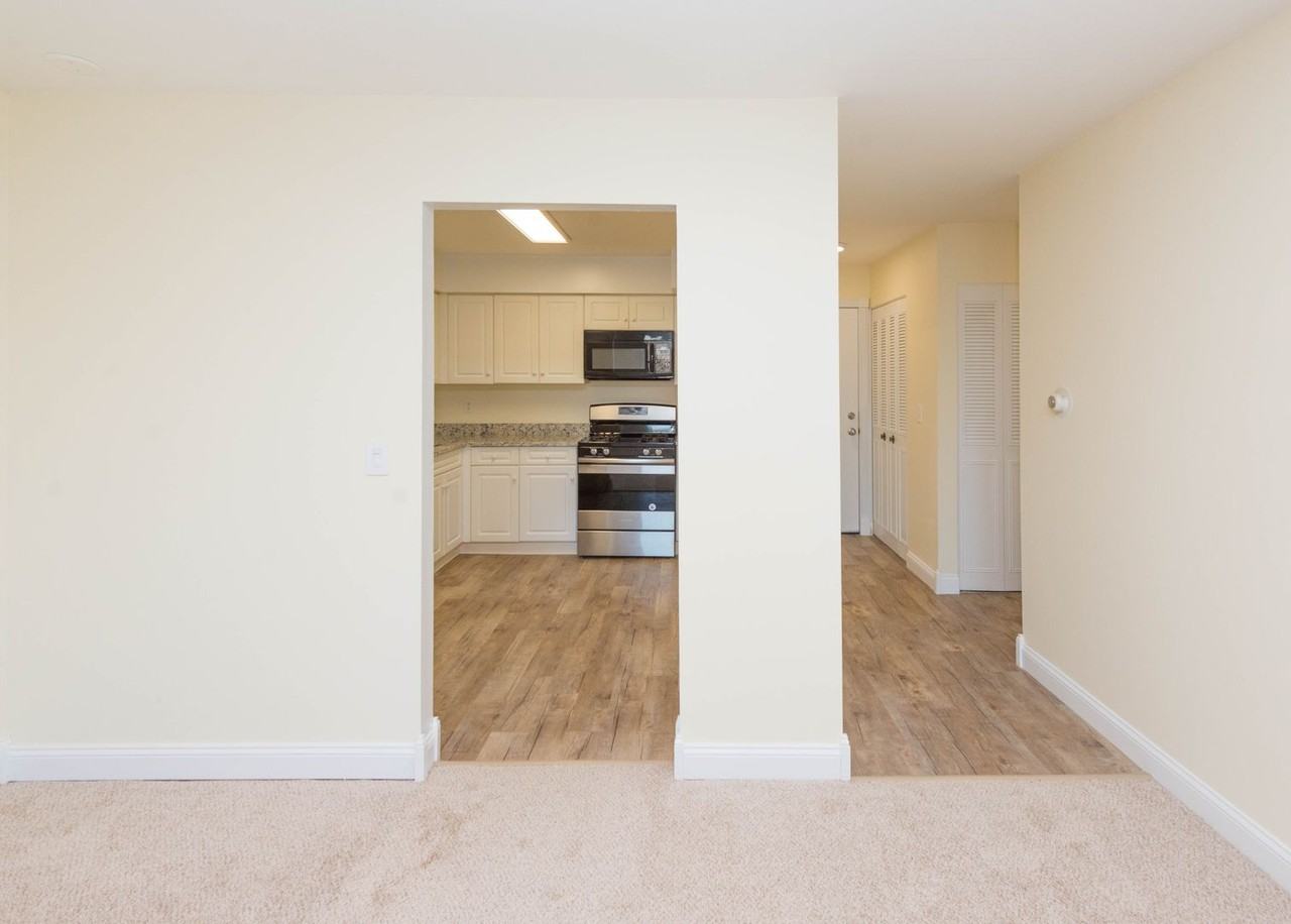 Chestnut Hill North Apartments - Photo 6 of 23