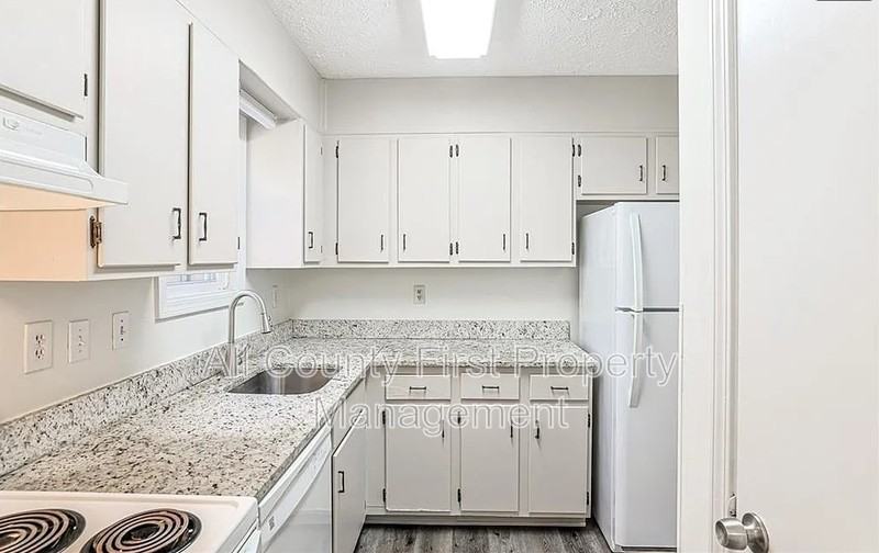 732 S Candler St - Photo 5 of 15