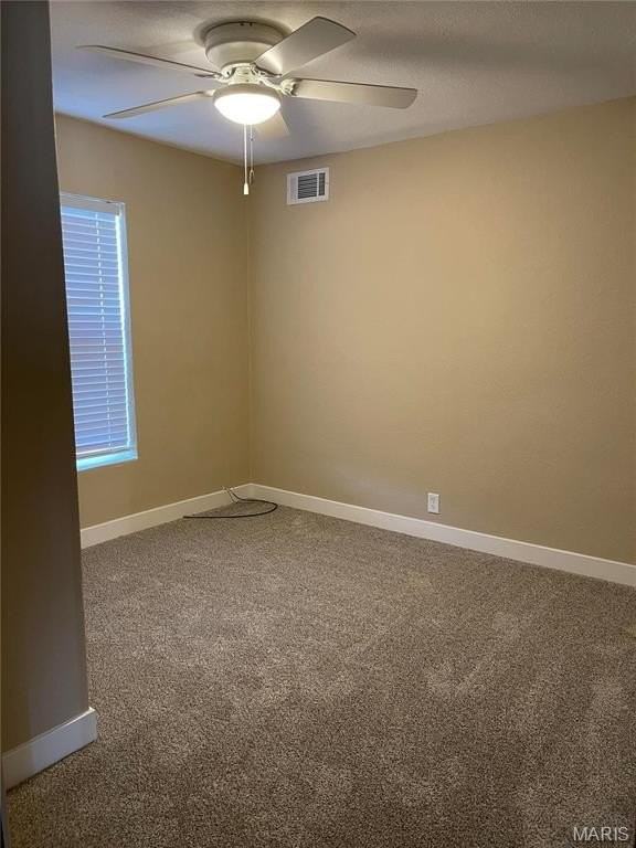 1804 W Highway 50 - Photo 5 of 6