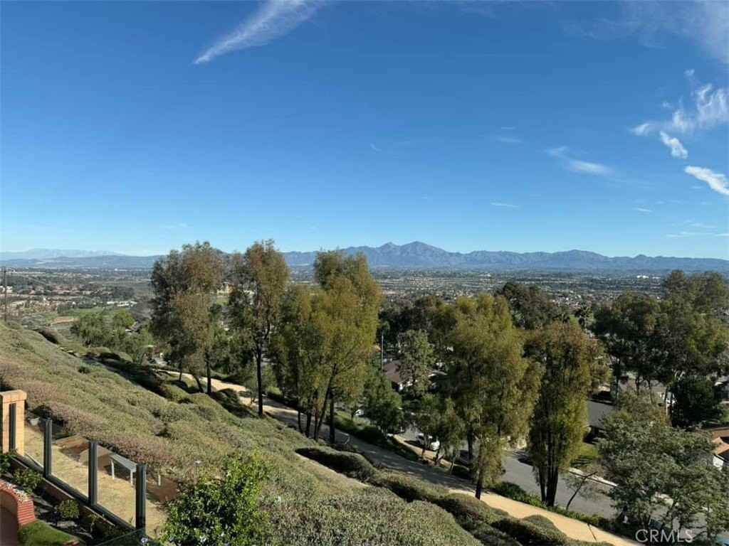 29282 Elba Dr - Photo 6 of 6
