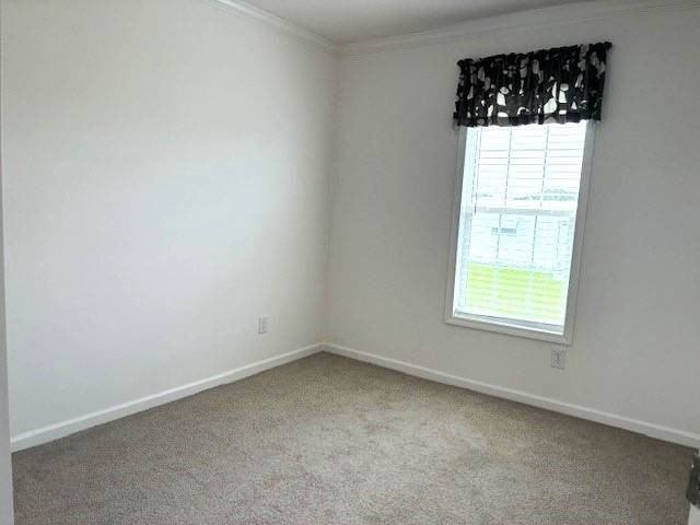 903 S Katie Ave - Photo 5 of 13