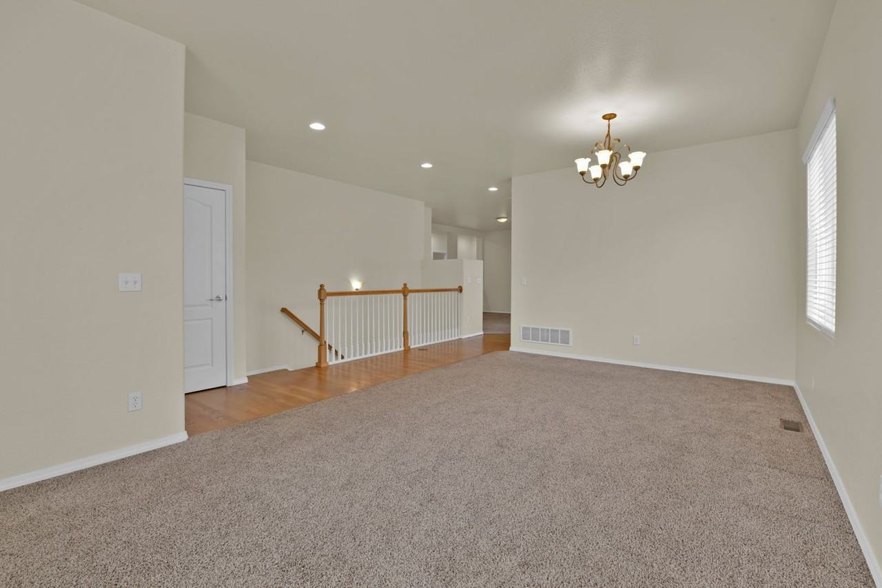 14238 Petrel Dr - Photo 7 of 42