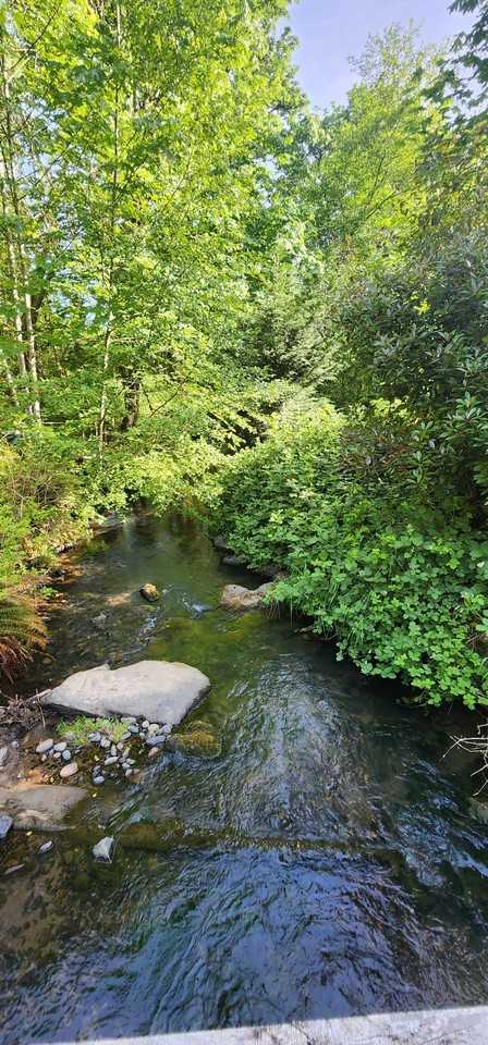 4549 125th Ave Se #A - Photo 3 of 10