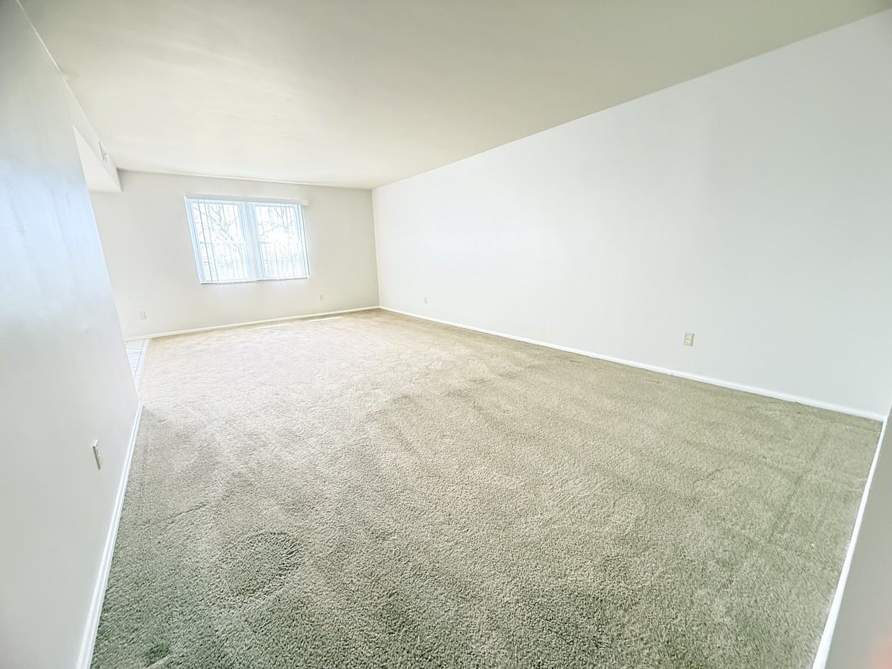 3310 Warrensville Center Rd - Photo 7 of 16