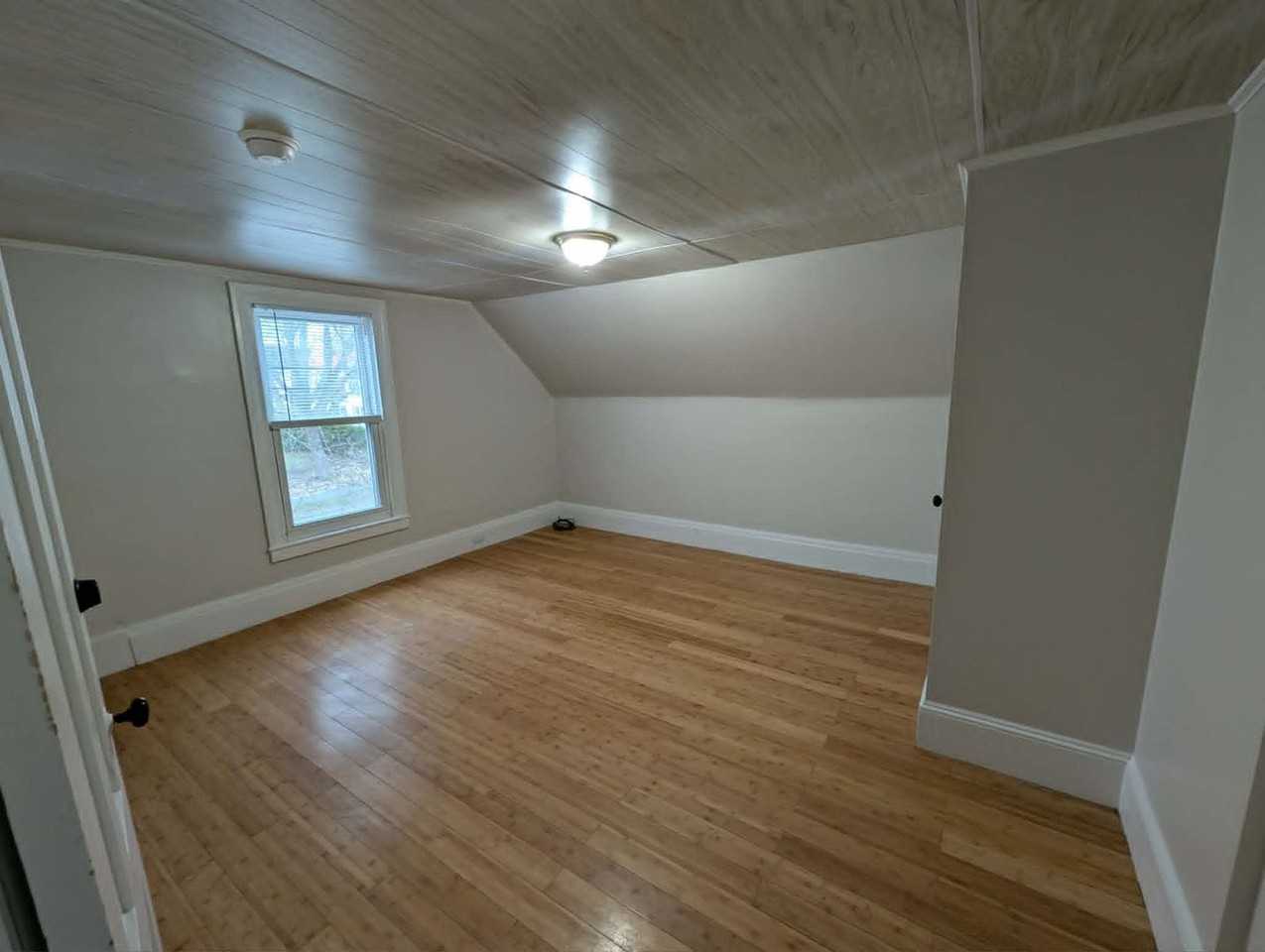 258 Essex St - Photo 5 of 10