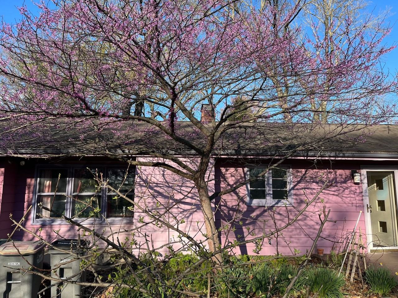 1814 Sheridan Rd - Photo 6 of 6