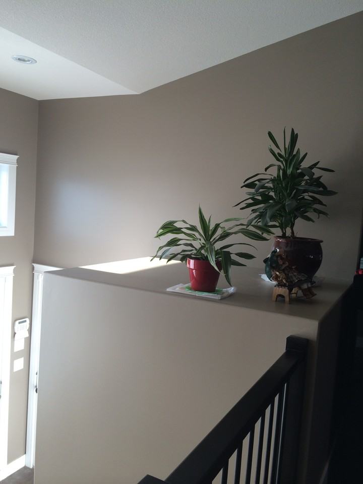 3 Bedroom | 2.5 Bathroom | Upper Unit 1126 Hargreaves Way - Photo 2 of 15