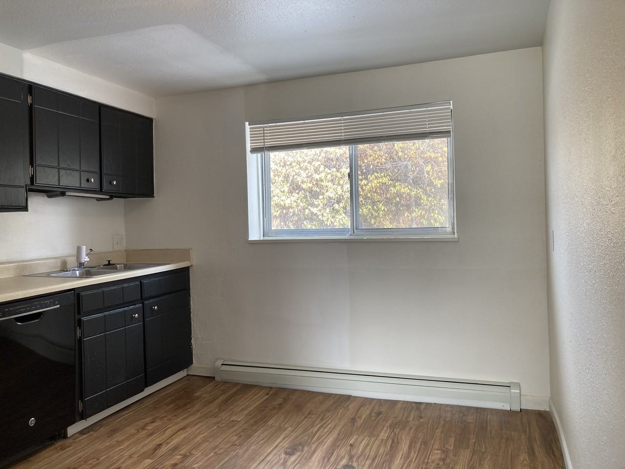 4020 Ruskin Way #2 - Photo 4 of 12