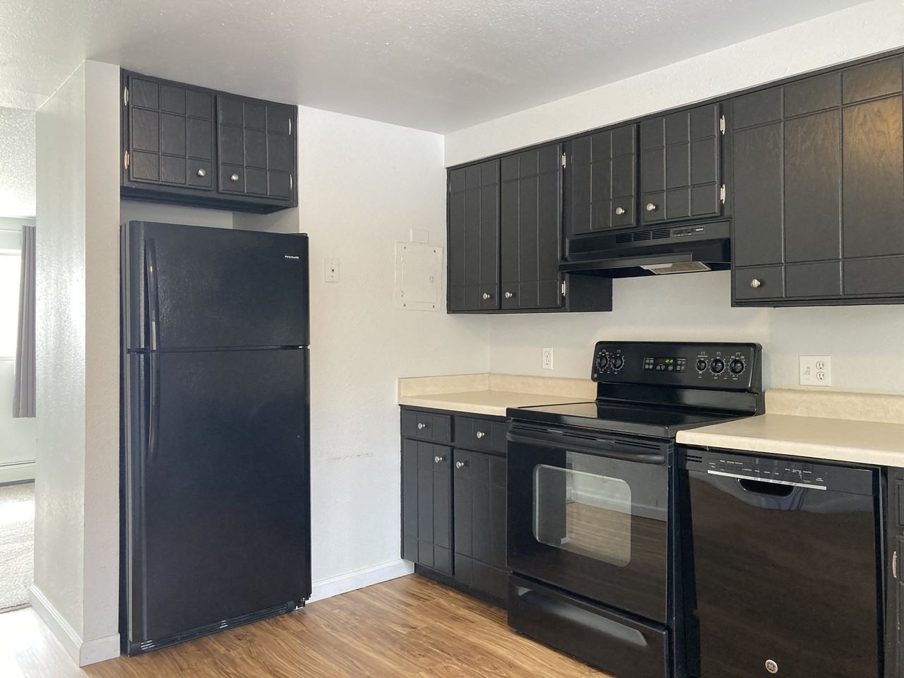 4020 Ruskin Way #2 - Photo 5 of 12