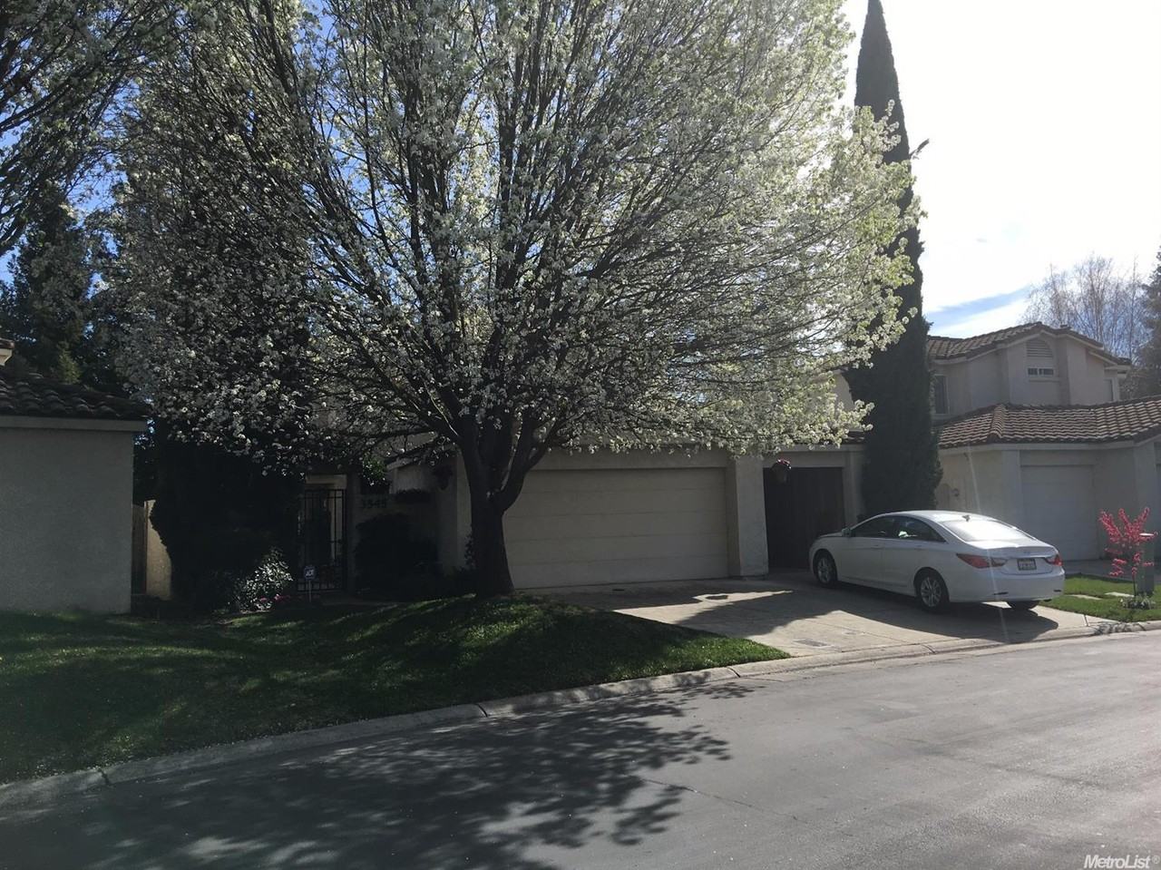 3545 Ignacio Cir - Photo 2 of 9