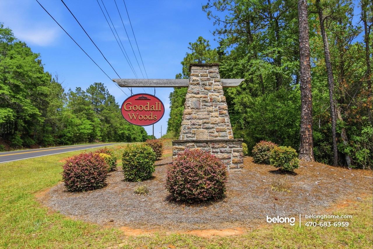 163 Goodall Woods Dr - Photo 2 of 31