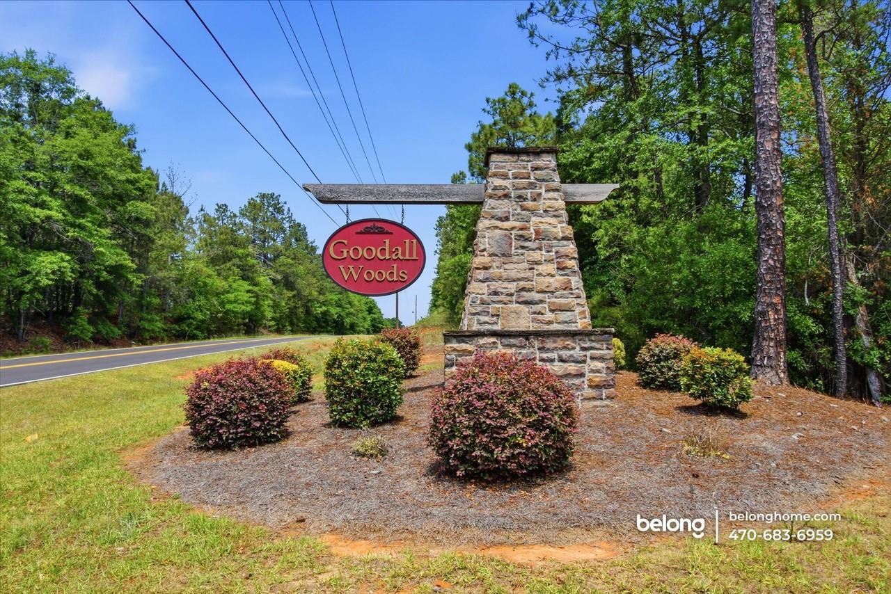 163 Goodall Woods Dr - Photo 4 of 31