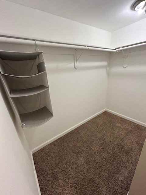 2871 La Salle Ave - Photo 6 of 20
