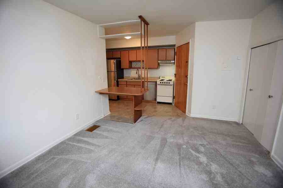 526 S Division St #526-5 - Photo 4 of 42
