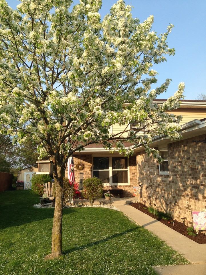 117 Kilps Ct W #117 - Photo 7 of 14