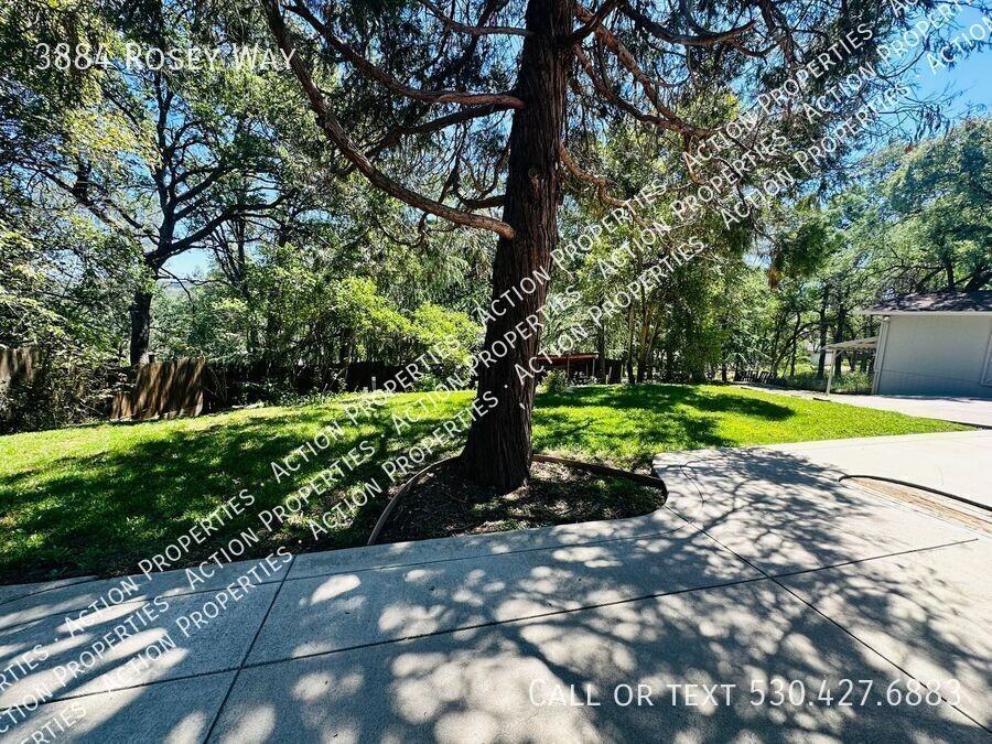 3884 Rosey Way - Photo 5 of 48