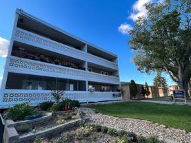 3930 Retallack St #009 - Photo 1 of 1
