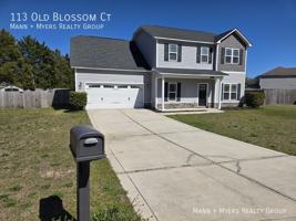 featured image of 113 Old Blossom Ct