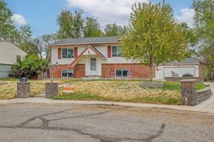 featured image of 4204 Hoyt St