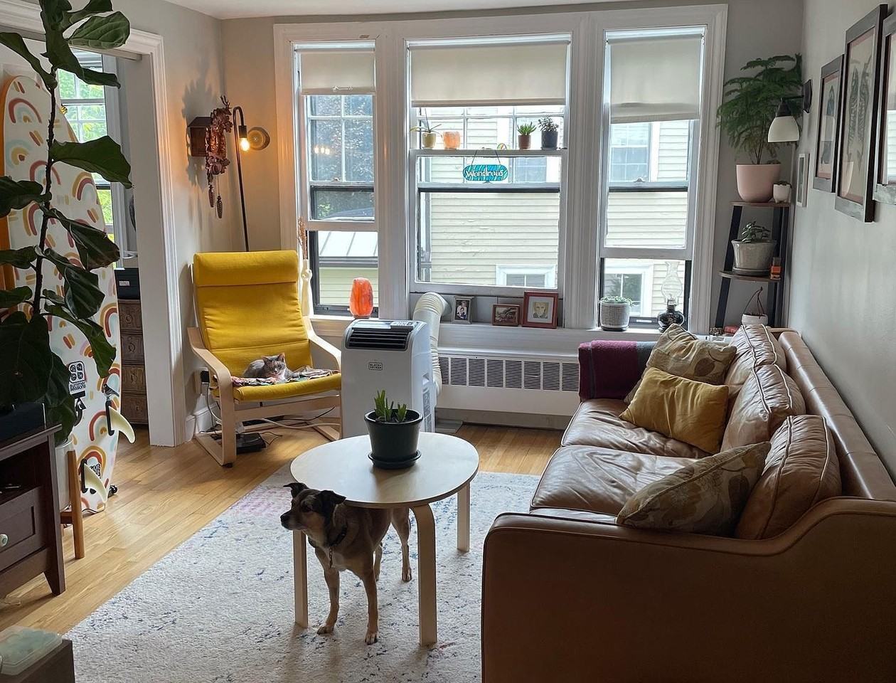 134 South St #8 - Photo 4 of 12