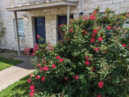 featured image of 114 Scofield Ave #108
