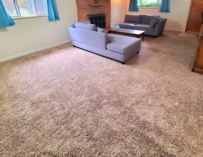 4334 Batavia Pl #B - Photo 4 of 18