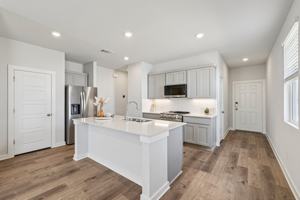 featured image of 133 Cutleaf Cv