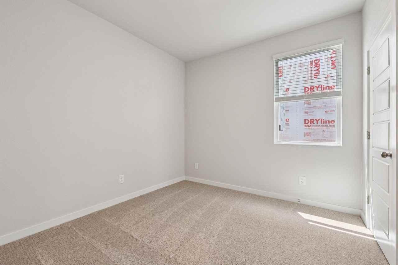 125 Cutleaf Cv - Photo 4 of 20