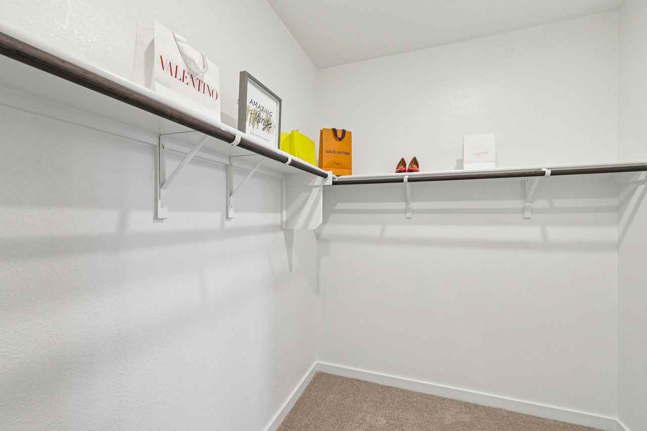 125 Cutleaf Cv - Photo 7 of 20