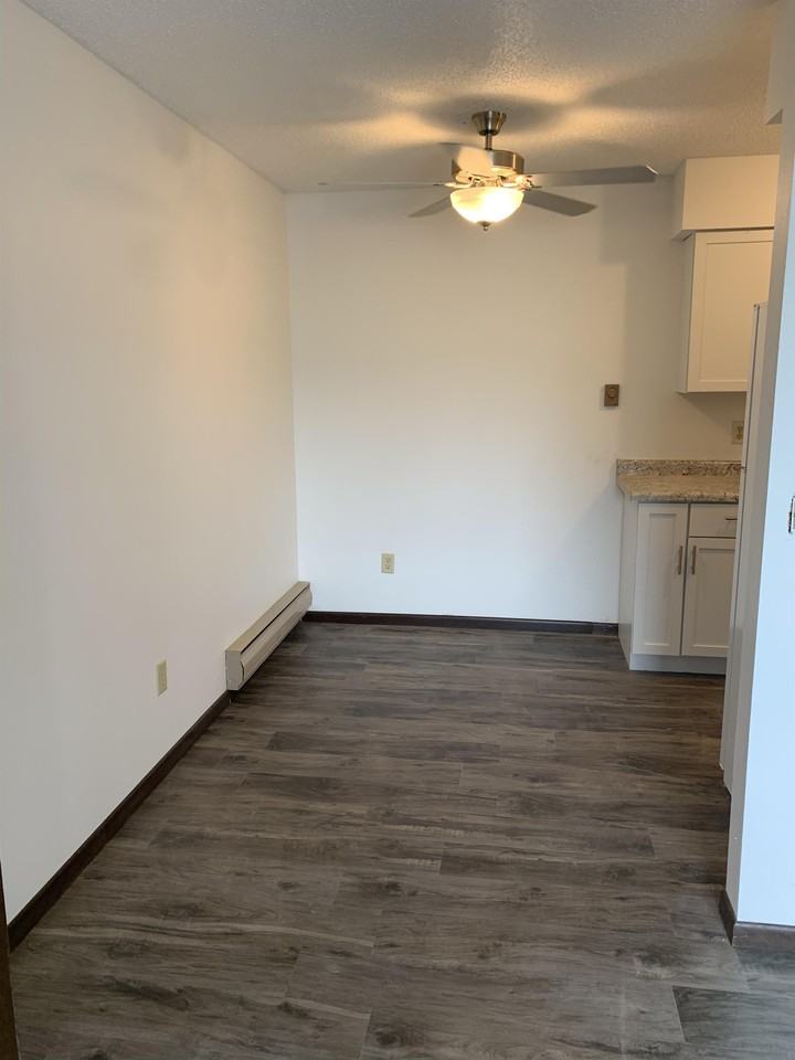 717 E Garland St - Photo 3 of 23
