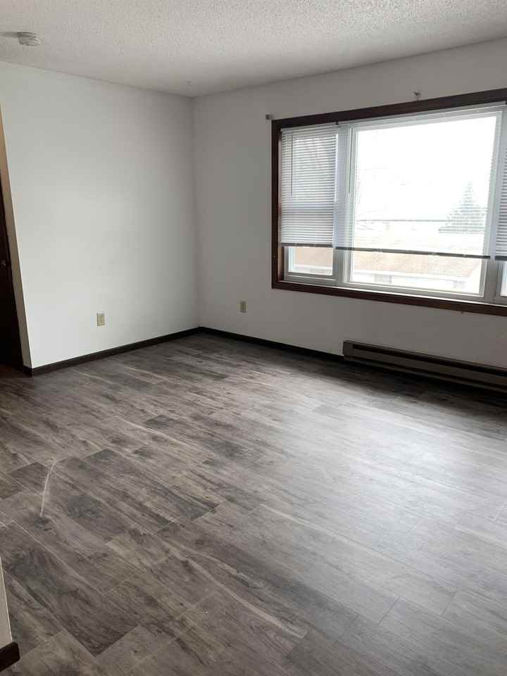 717 E Garland St - Photo 4 of 23