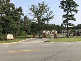 Fallen Oak - Photo 1 of 1
