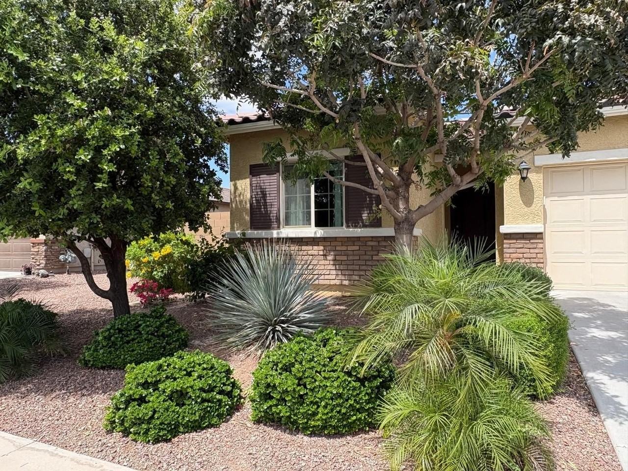 21248 W Palm Ln - Photo 2 of 15