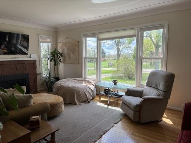 4592 W Ellsworth Rd - Photo 4 of 24