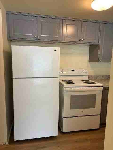 442 S 1st St #5 - Photo 5 of 6