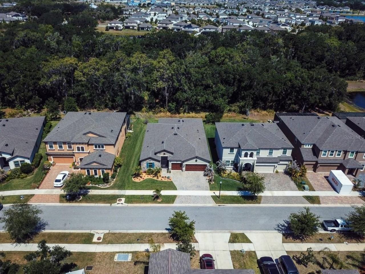 13235 Wildflower Meadow Dr - Photo 6 of 46
