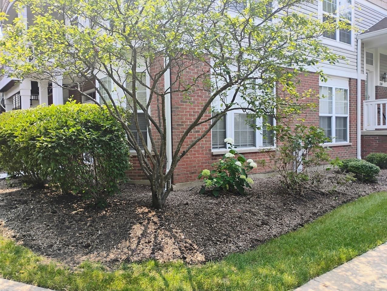 1128 Georgetown Way #1128 - Photo 3 of 22
