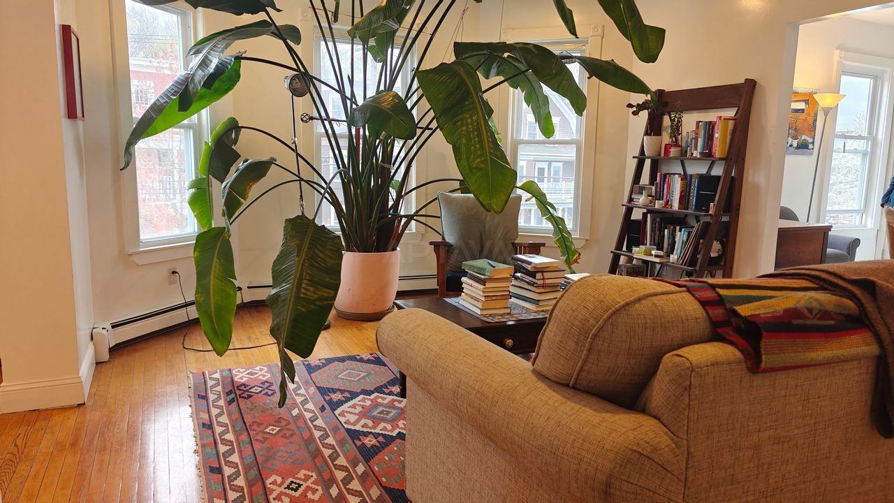 2 Rogers Ave #2