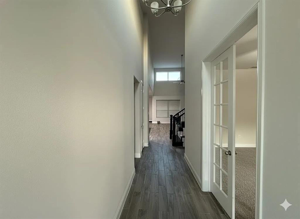 6842 Albany Park - Photo 3 of 21