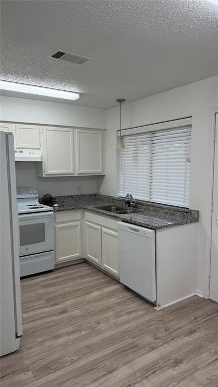 801 Bluebonnet Dr #B - Photo 3 of 8