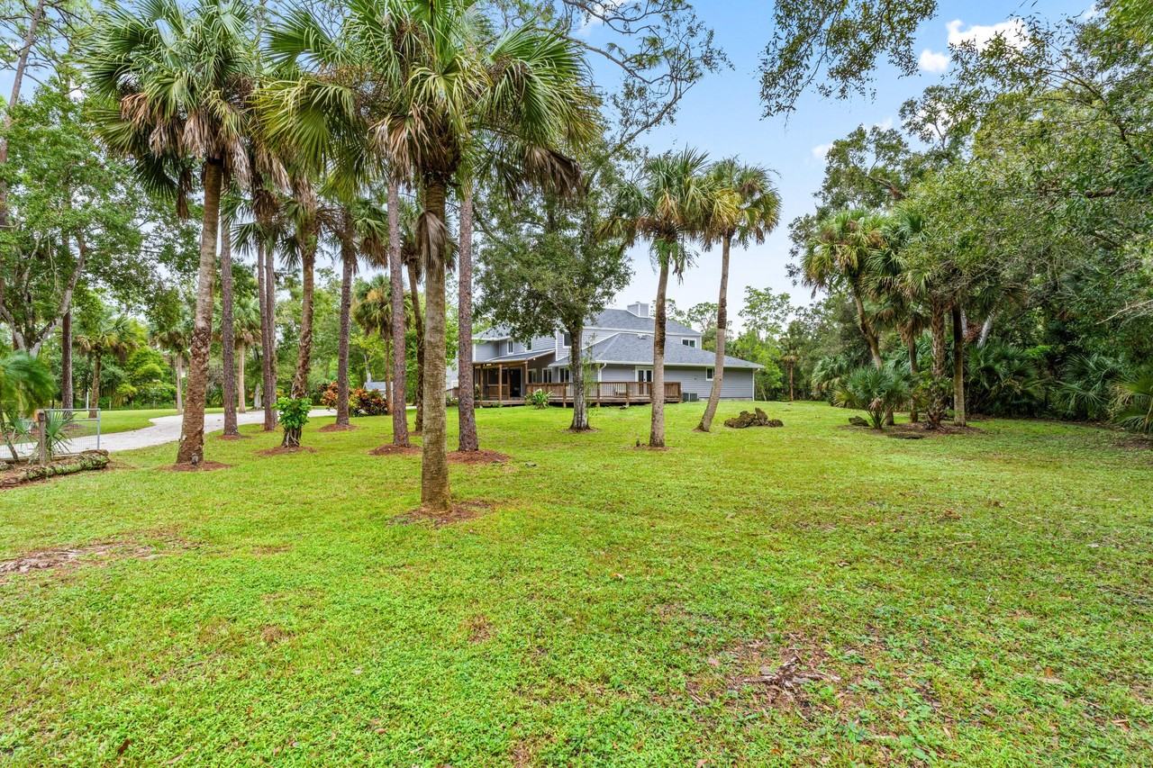 12151 Old Indiantown Rd - Photo 6 of 50