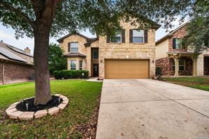 featured image of 5646 Lilac Willow