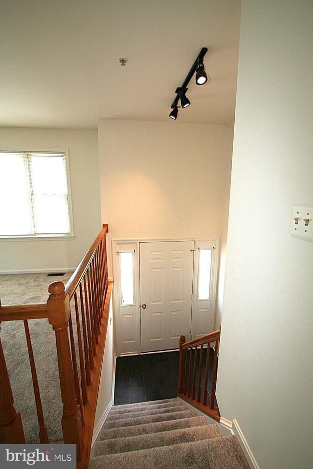 4405 Apex Ln - Photo 2 of 37