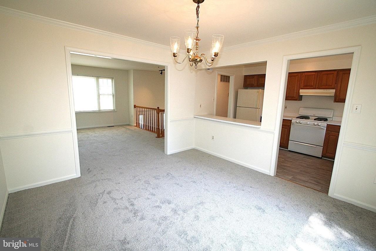 4405 Apex Ln - Photo 6 of 37